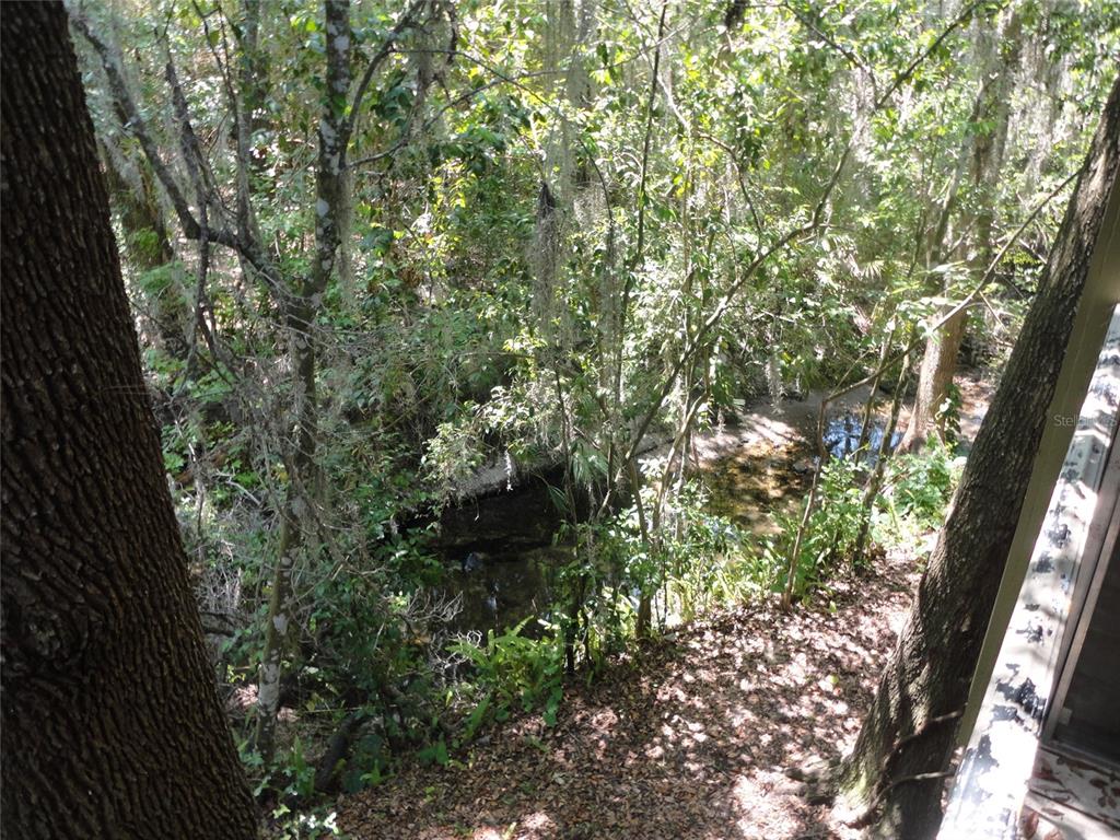 1015 Southwest 9th Street, Unit C24 Gainesville, FL 32601 - Photo 10 of 11
