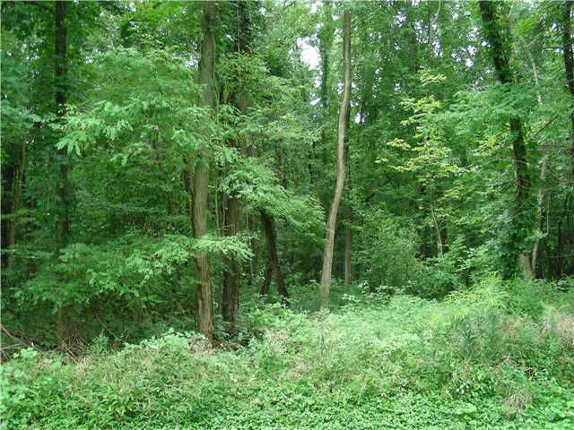 0 Log City Road Dundee, NY 14837 - Photo 1 of 1 Land