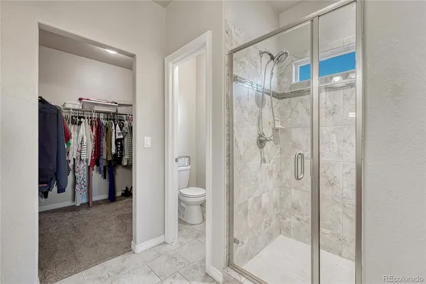 a bathroom with a shower and a toilet