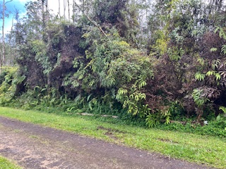499 Maui Road Pahoa, HI 96778 - Photo 3 of 3 Gallery Image 3