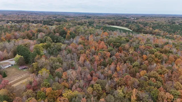 an aerial view of forest