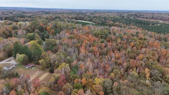 a view of a forest with trees in the background