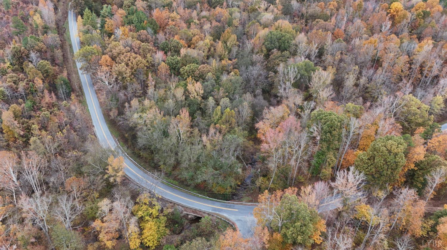 1091 Acorn Road Nathalie, VA 24577 - Photo 5 of 29 a view of a forest with a house in a forest