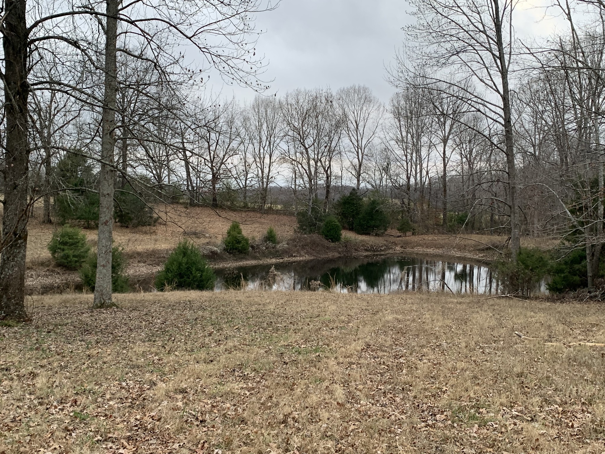 251 Rascal Town Road Loretto, TN 38469 - Photo 17 of 52 a view of lake with a yard