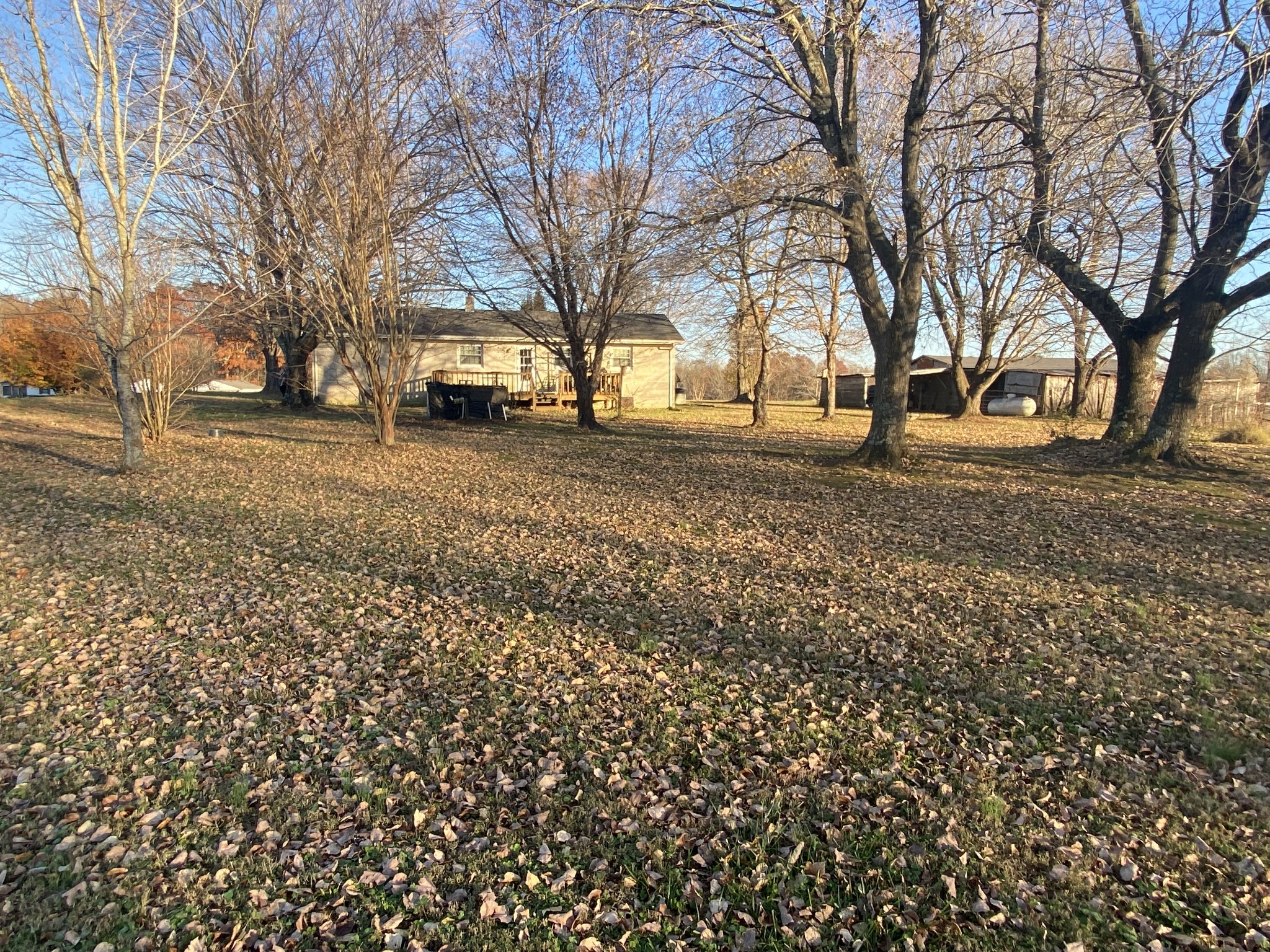 251 Rascal Town Road Loretto, TN 38469 - Photo 21 of 52 a view of a house with a yard