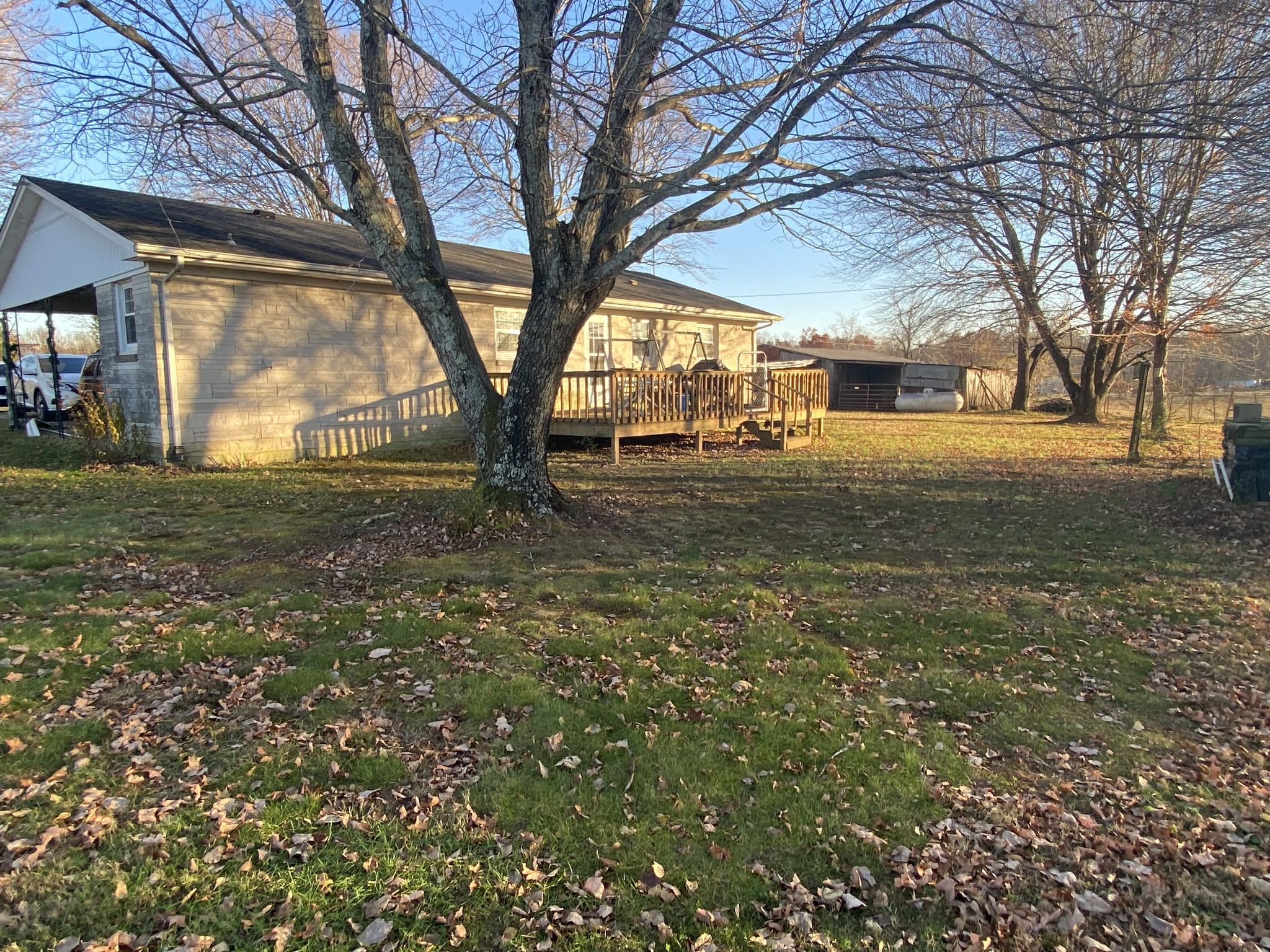 251 Rascal Town Road Loretto, TN 38469 - Photo 23 of 52 a view of a yard with a tree