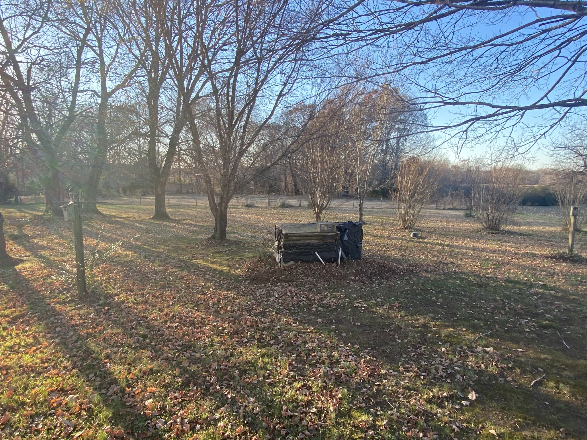 251 Rascal Town Road Loretto, TN 38469 - Photo 27 of 52 a backyard of a house with table and chairs