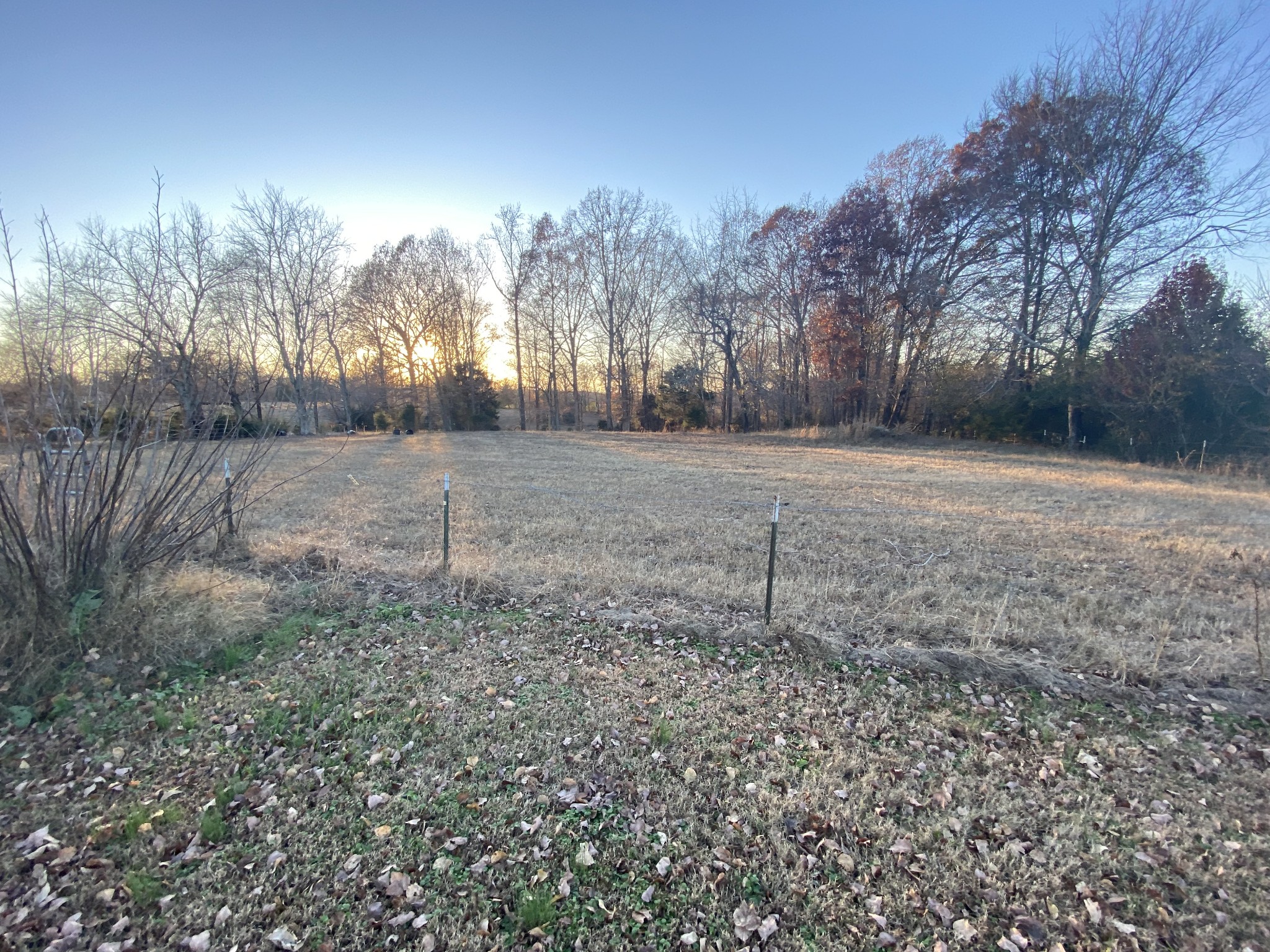 251 Rascal Town Road Loretto, TN 38469 - Photo 33 of 52 a backyard of a house with lots of green space