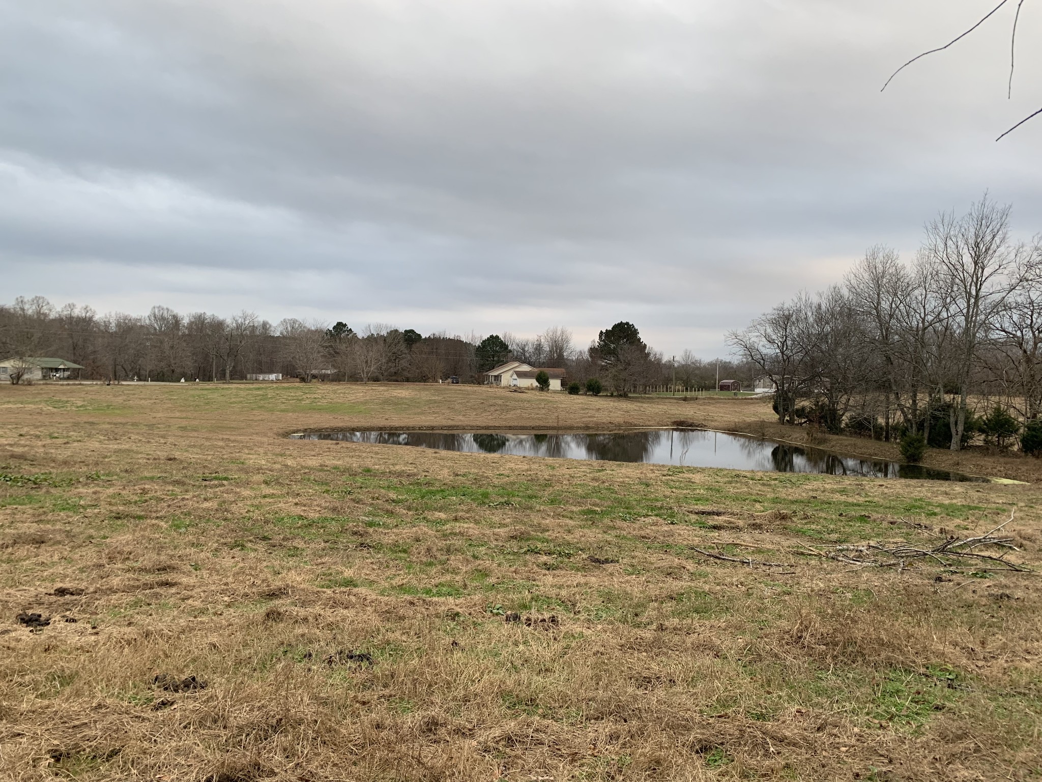 251 Rascal Town Road Loretto, TN 38469 - Photo 6 of 52 a view of a lake with houses in the back