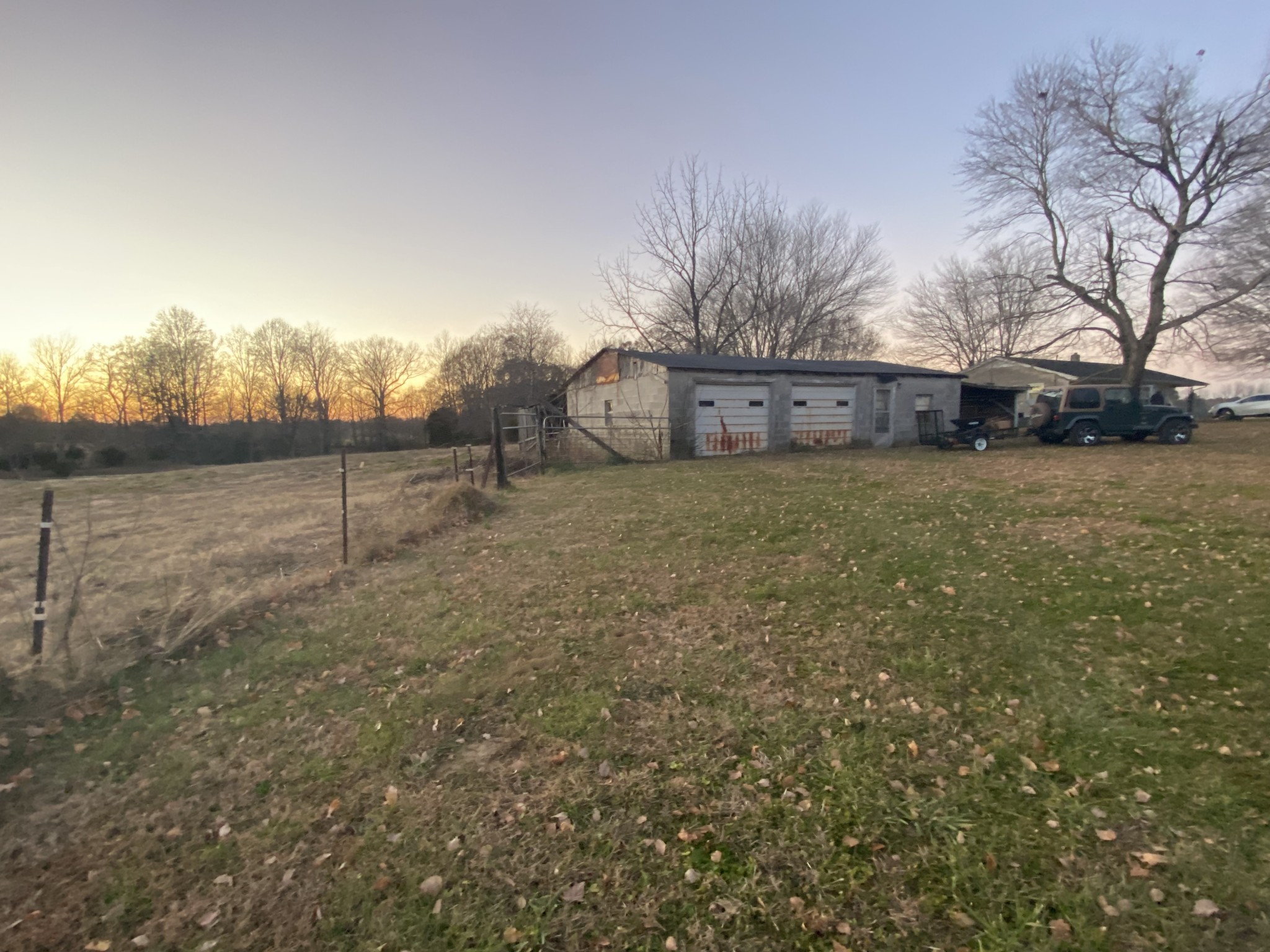 251 Rascal Town Road Loretto, TN 38469 - Photo 51 of 52 a view of yard with tree