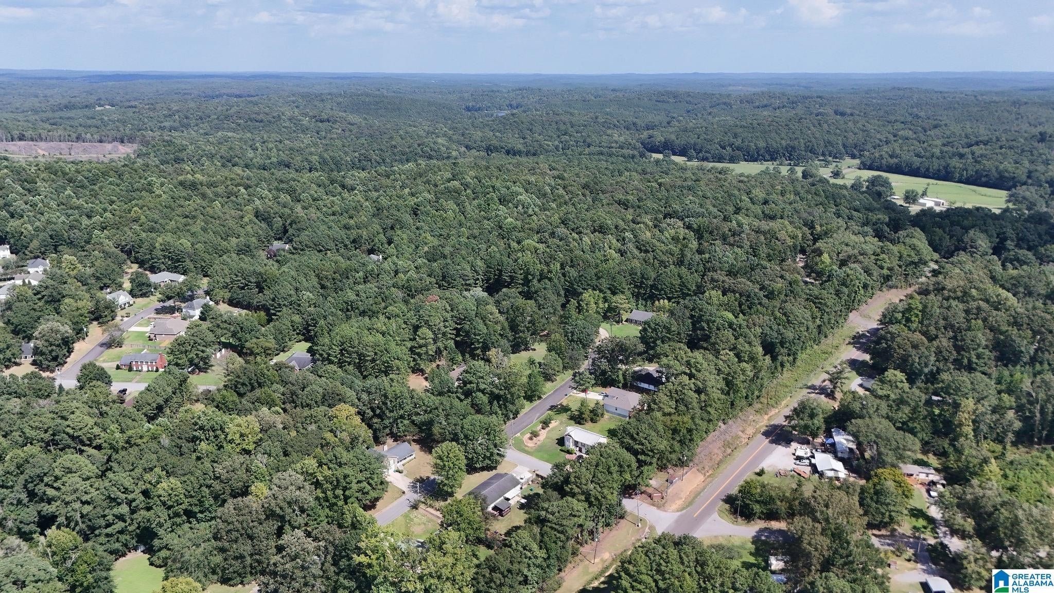 0 Clements Road Cottondale, AL 35453 - Photo 6 of 13 Gallery Image 6