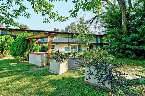 a view of a chair and table in the garden