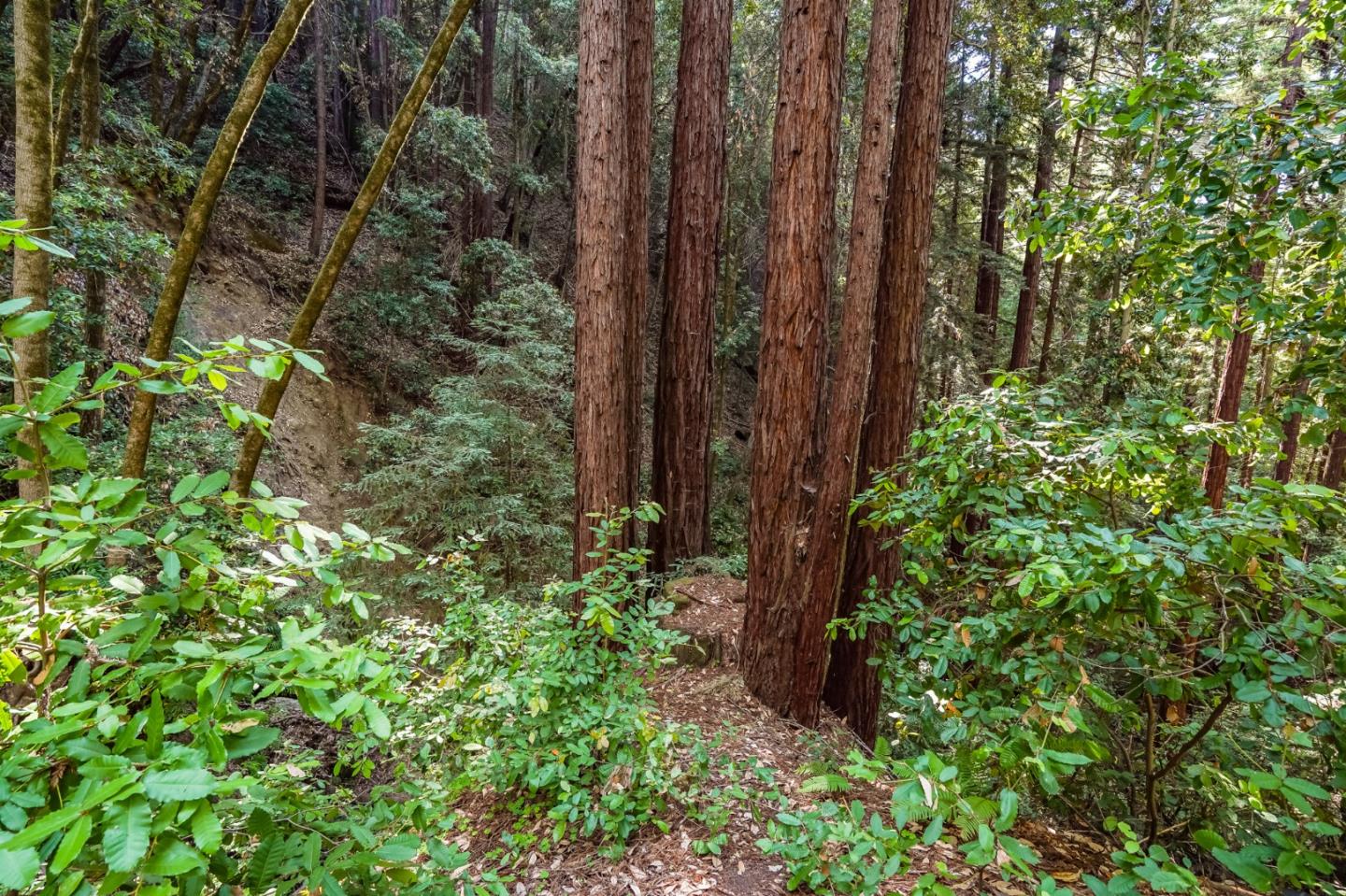 175 Sugar Valley Road Scotts Valley, CA 95066 - Photo 57 of 62 Gallery Image 57