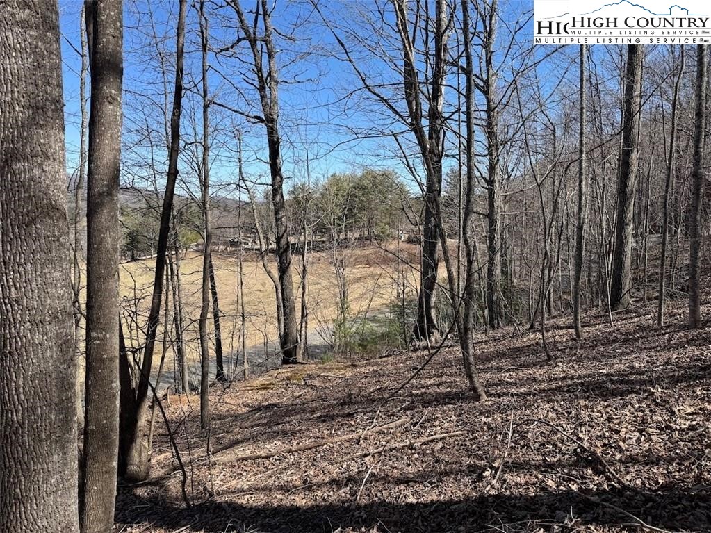 Roby Poe Road Crumpler, NC 28617 - Photo 2 of 19 Gallery Image 2