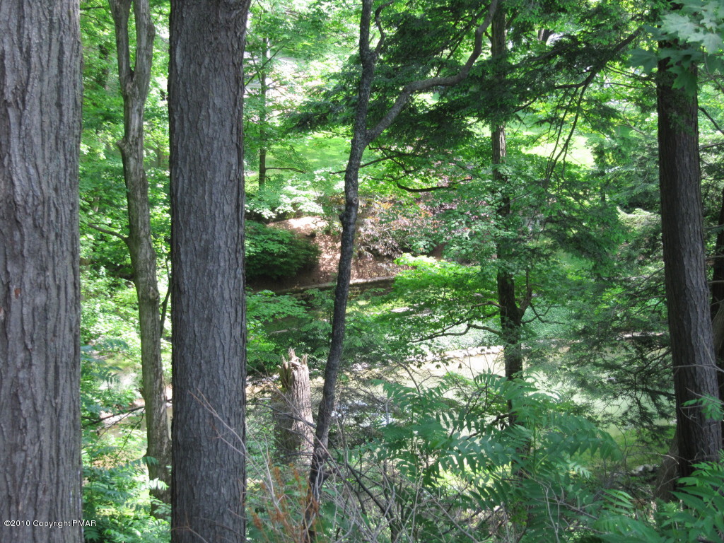 37 Fiddletown Road Kunkletown, PA 18058 - Photo 7 of 20 Woods