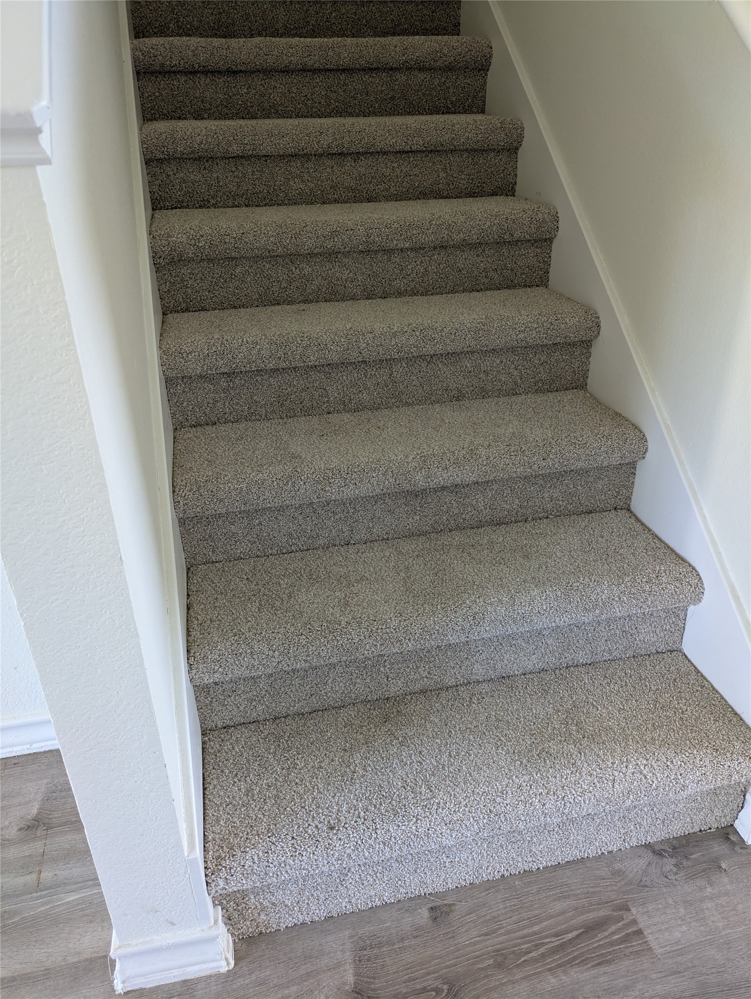 209 Phillips Street Hutto, TX 78634 - Photo 6 of 11 a view of entryway