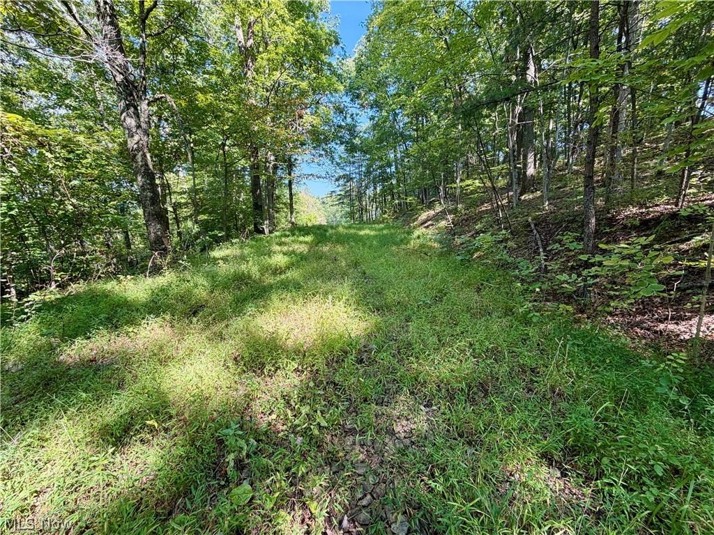 2074 Bogal Ridge Road Mineral Wells, WV 26150 - Photo 6 of 15 Further down the driveway