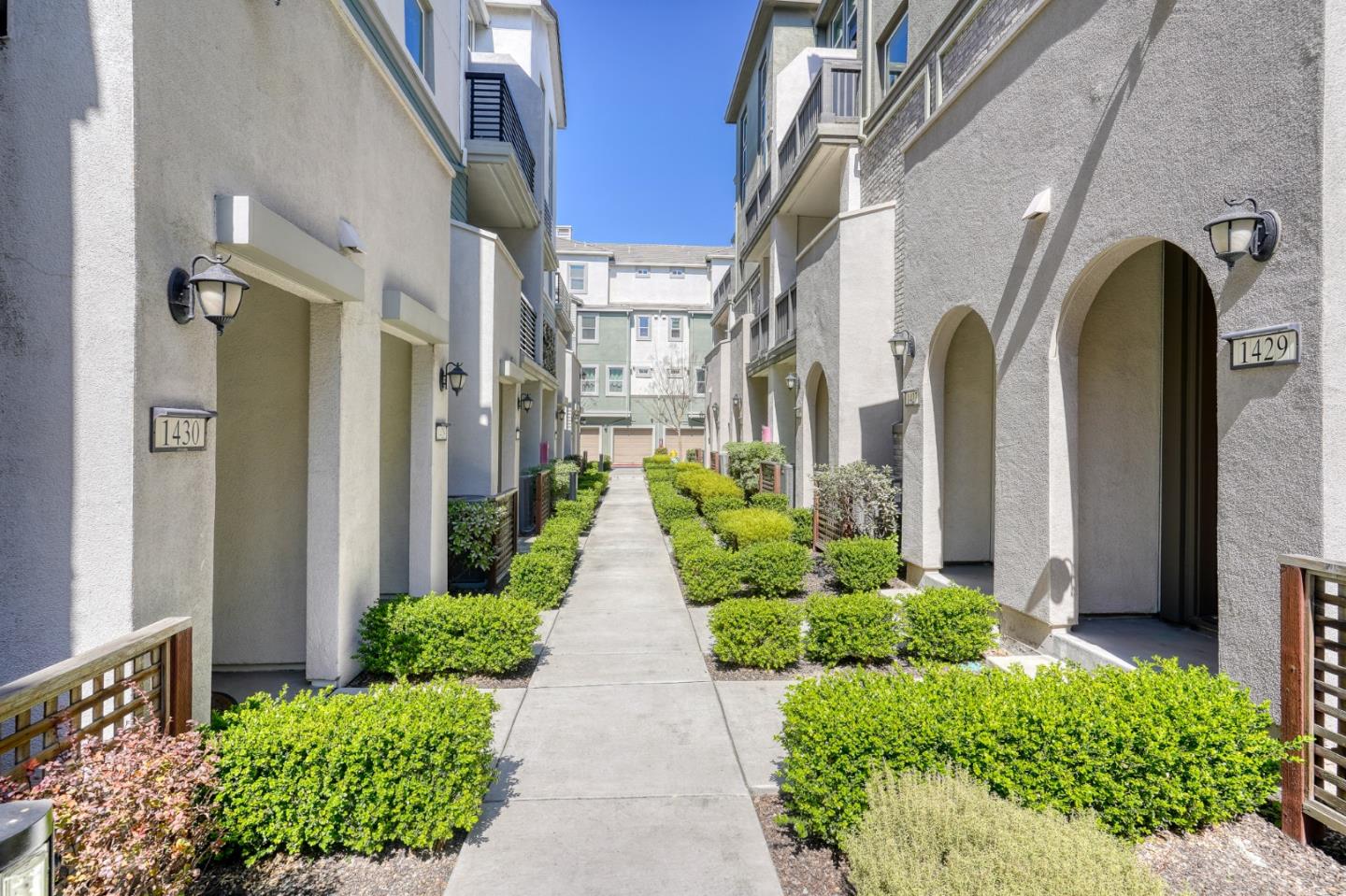 1425 Lavender Loop Milpitas, CA 95035 - Photo 2 of 59 a view of a bunch of flowers in front of house