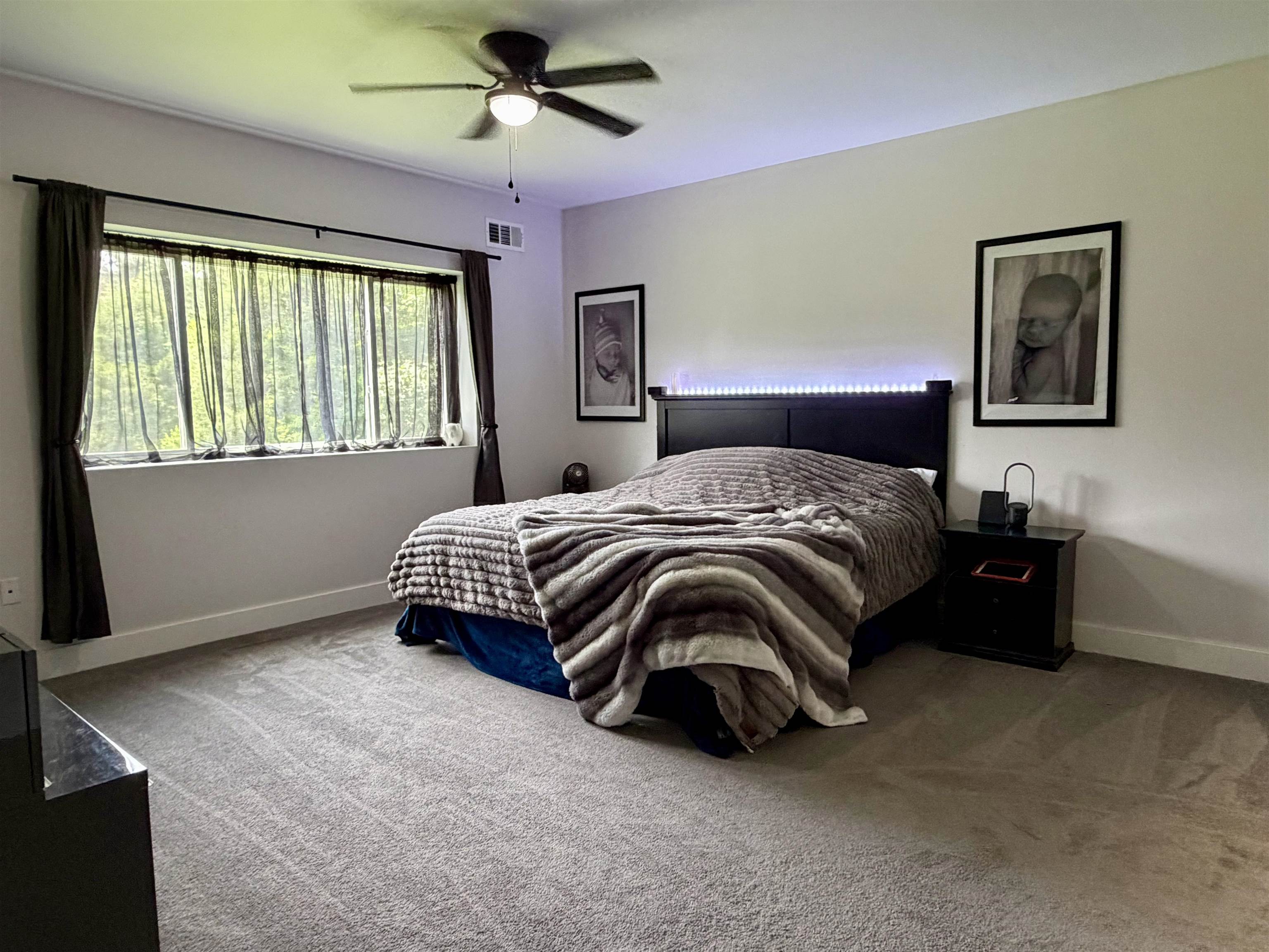 3670 Peavine Road Middleton, TN 38052 - Photo 17 of 36 Bedroom featuring a wide window, ceiling fan, carpet flooring, and a built-in headboard with integrated lighting