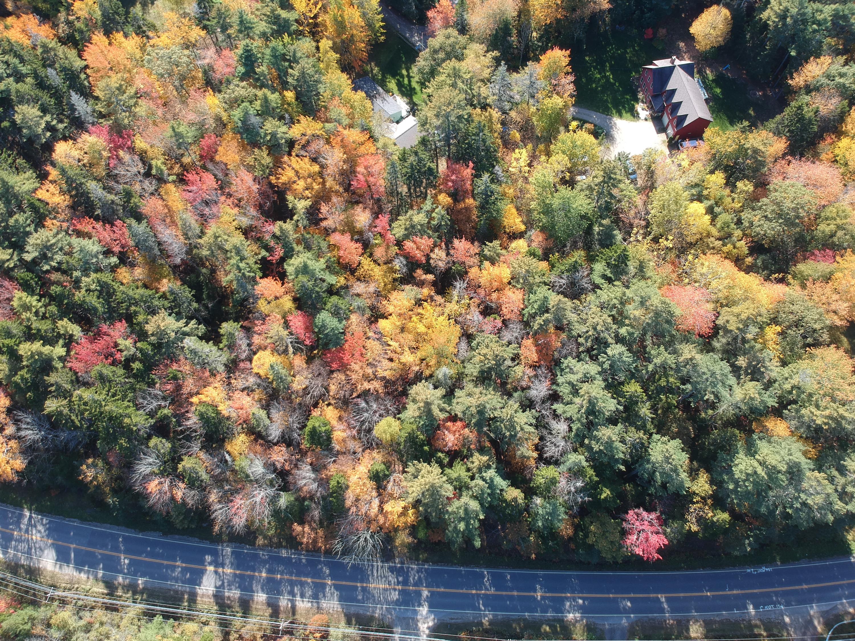 Lot 53 Nichols Road East Boothbay, ME 04544 - Photo 2 of 14 DJI_0222