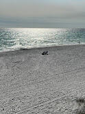 16 Channel Shl Drive, Unit LOT 23 Santa Rosa Beach, FL 32459 - Photo 9 of 9