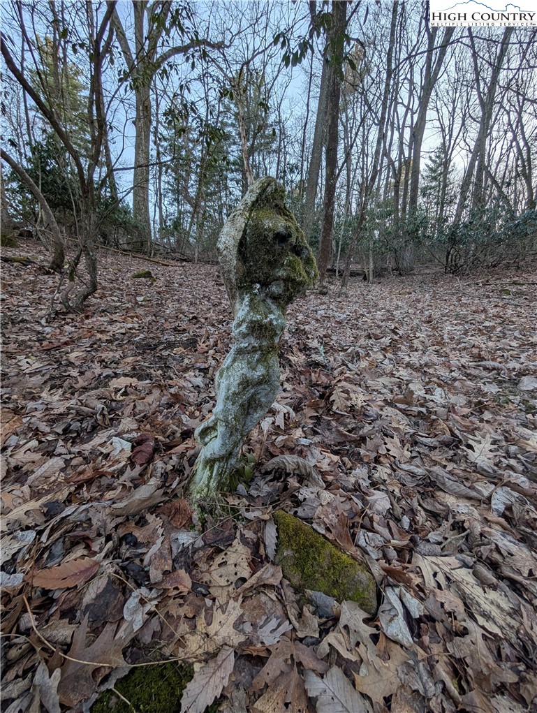 57 Village Road Glade Valley, NC 28627 - Photo 38 of 47 a view of a yard with plants and trees