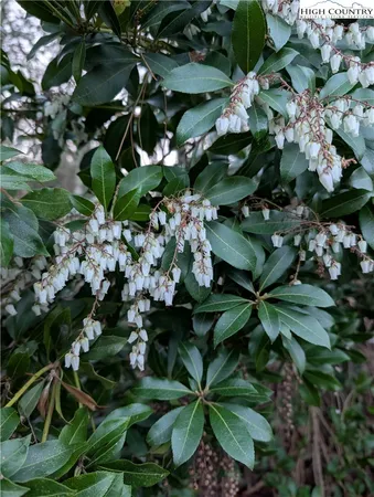 $362,000 | 57 Village Road, Glade Valley, NC 28627