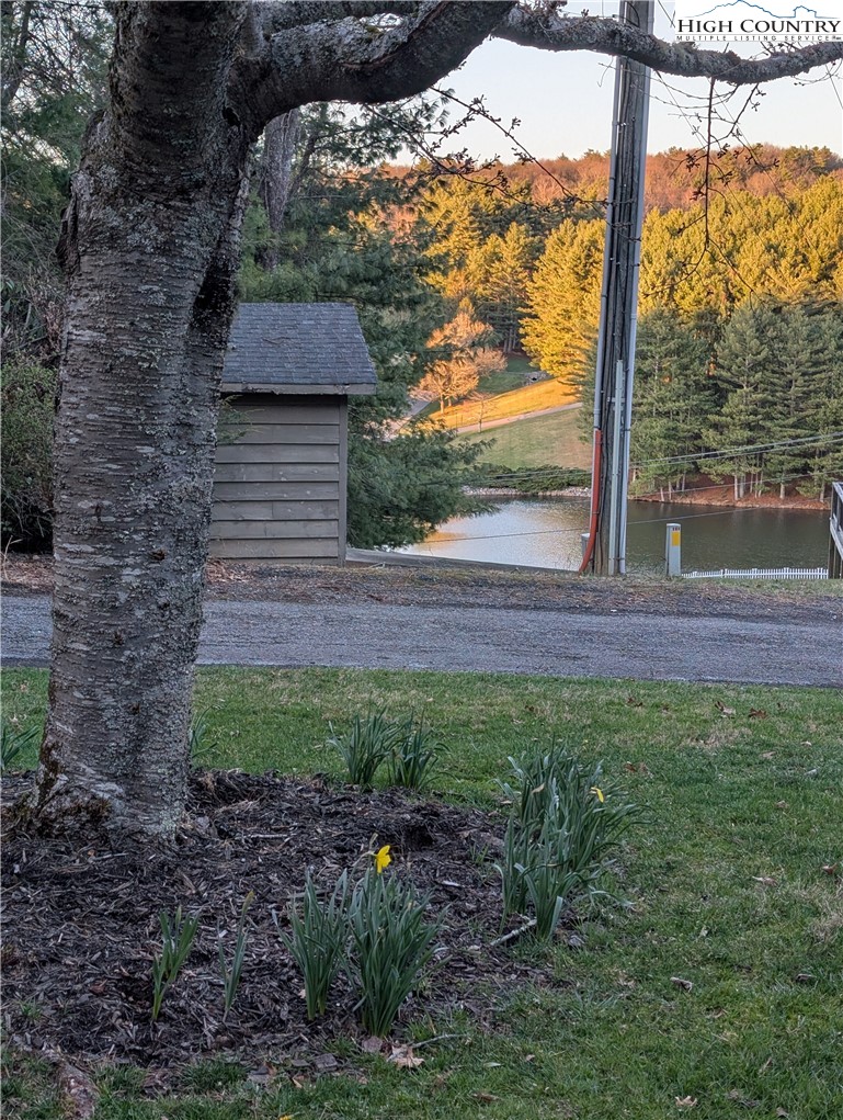 57 Village Road Glade Valley, NC 28627 - Photo 42 of 47 a view of a backyard with a garden