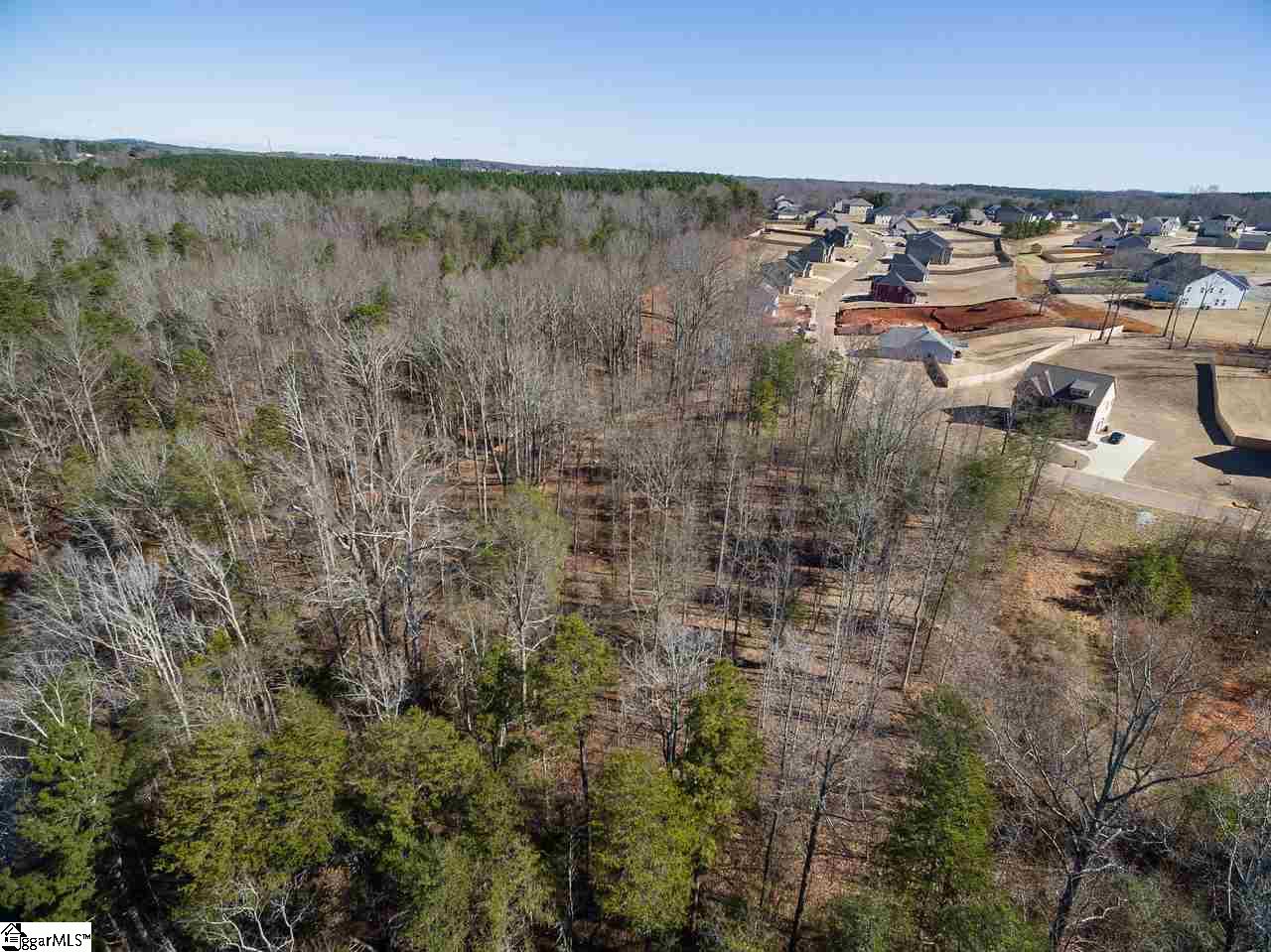 222 Rushing Waters Drive, Unit LOT 40 Inman, SC 29349 - Photo 15 of 31