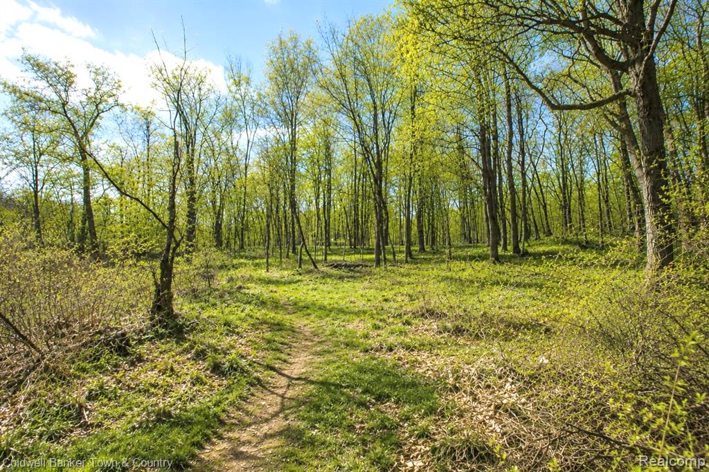 Vl Spears Road Gregory, MI 48137 - Photo 4 of 25