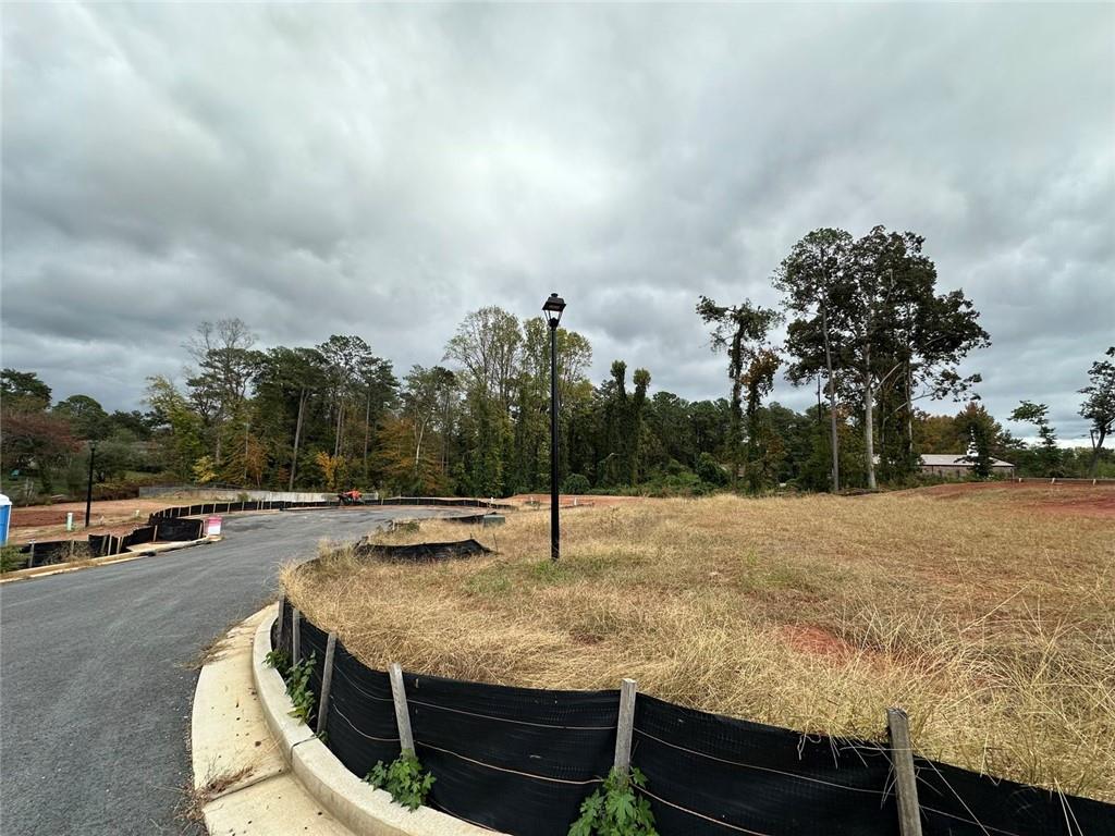 2080 Tilson Road Decatur, GA 30032 - Photo 7 of 13 a swimming pool with some trees in the background