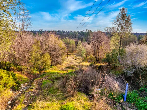 a view of lake with lots of trees