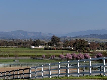 2101 North Refugio Road Santa Ynez, CA 93460 - Photo 3 of 4 a view of a big house with a big yard