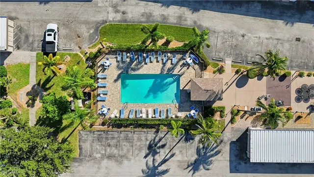 a picture of a bunch of flowers