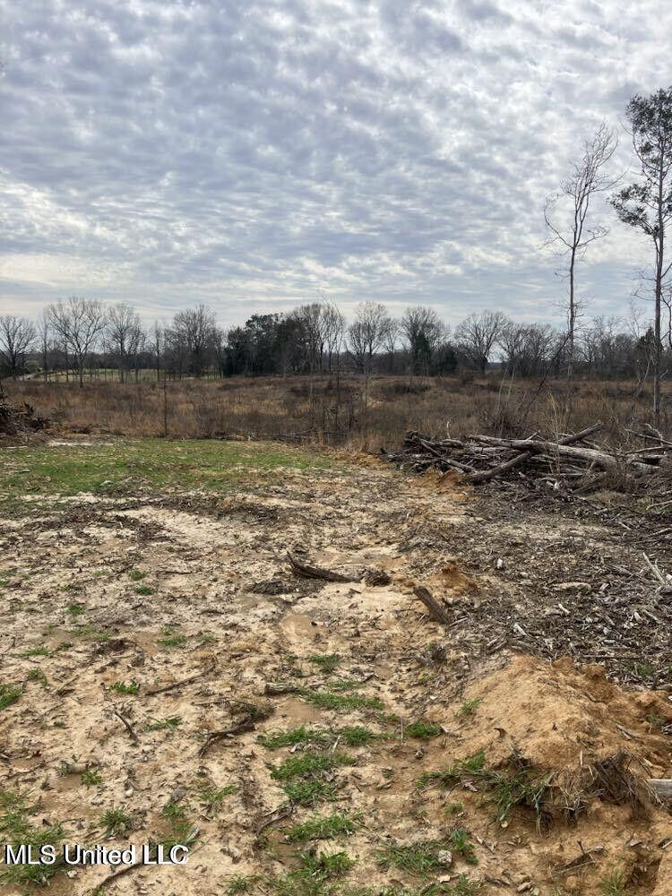 Lot 4 Cypress Corner Road Senatobia, MS 38668 - Photo 2 of 2 pic 2 cypress 4