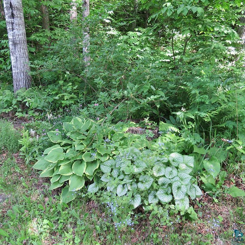 6975 Cramer Road Finland, MN 55603 - Photo 58 of 62