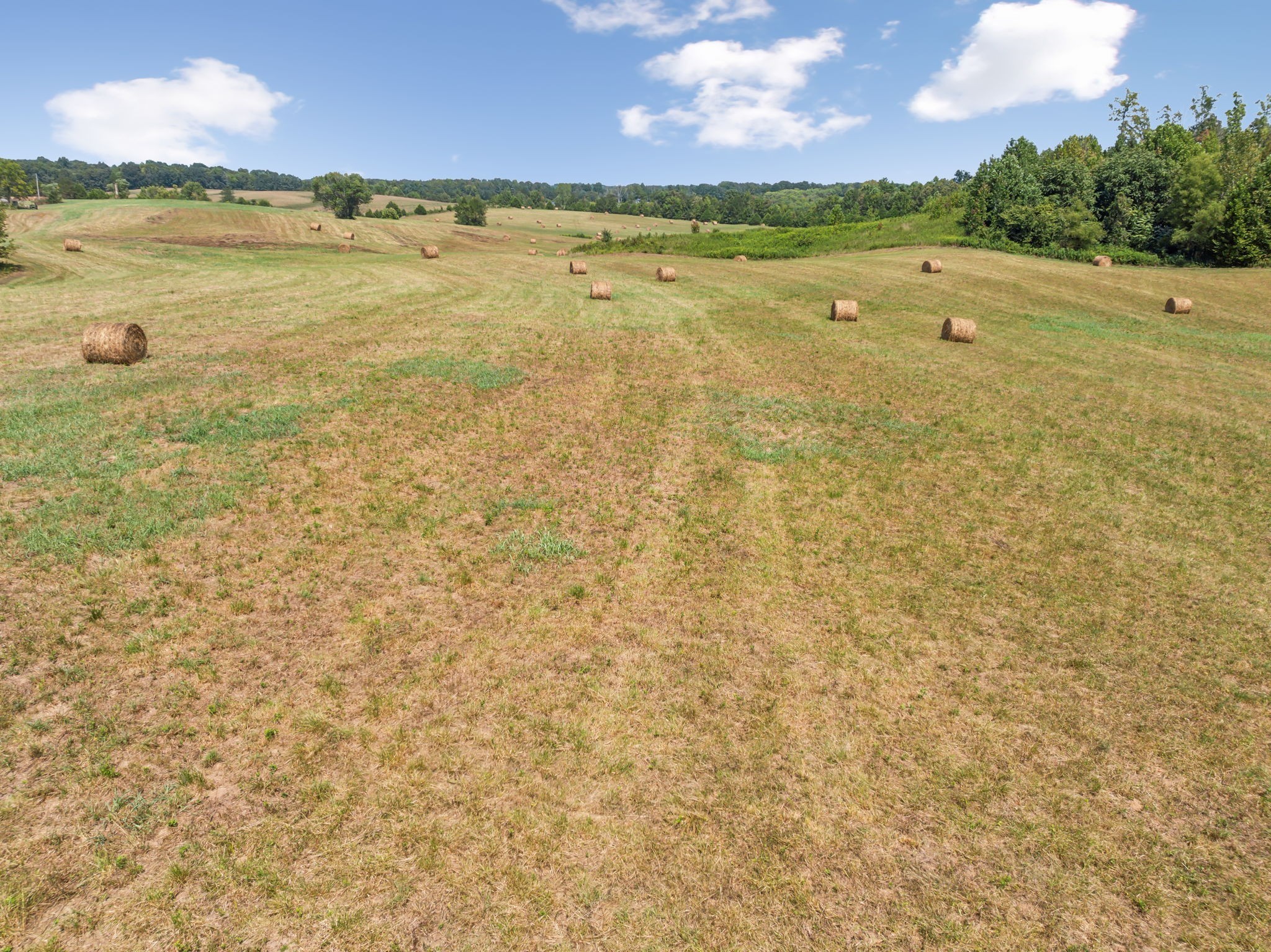 341 Anthony Adcock Road Sparta, TN 38583 - Photo 23 of 37