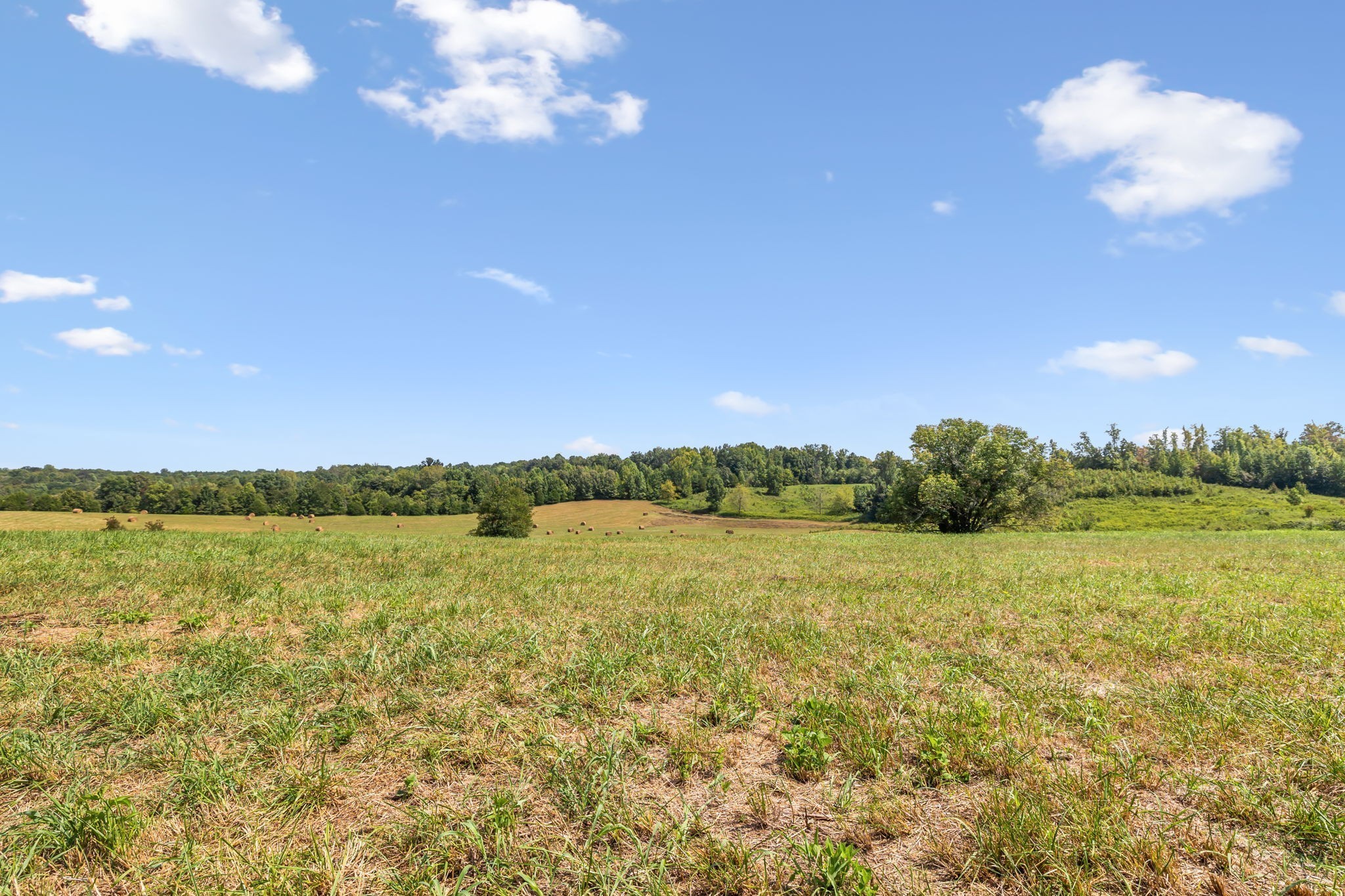 341 Anthony Adcock Road Sparta, TN 38583 - Photo 3 of 37 a view of an ocean and a mountain