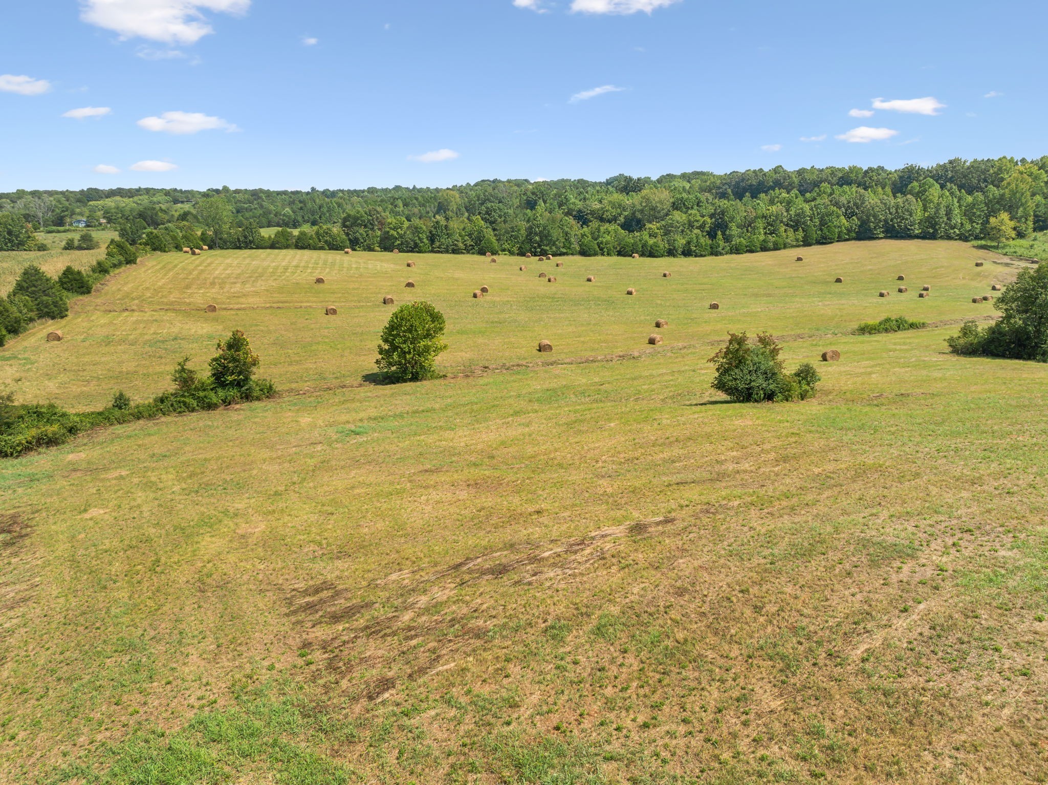 341 Anthony Adcock Road Sparta, TN 38583 - Photo 33 of 37 a view of an ocean and beach