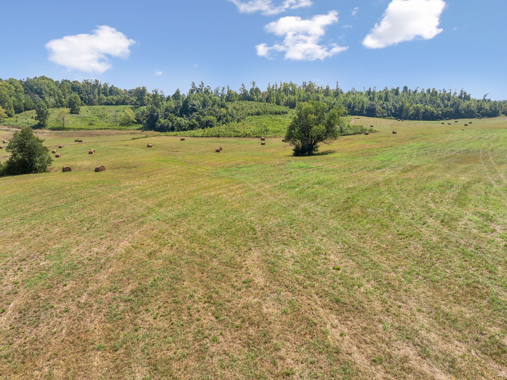 341 Anthony Adcock Road Sparta, TN 38583 - Photo 34 of 37 a view of an ocean from a yard