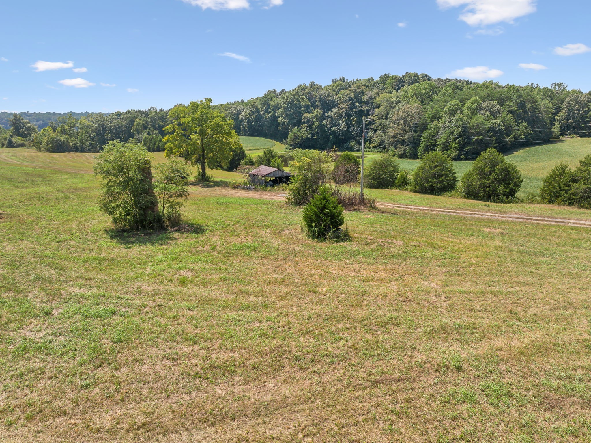 341 Anthony Adcock Road Sparta, TN 38583 - Photo 35 of 37 a view of a yard with an outdoor space