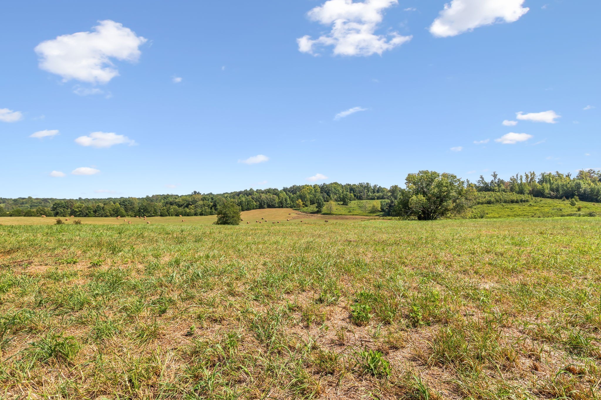 341 Anthony Adcock Road Sparta, TN 38583 - Photo 4 of 37 a view of lake and mountain