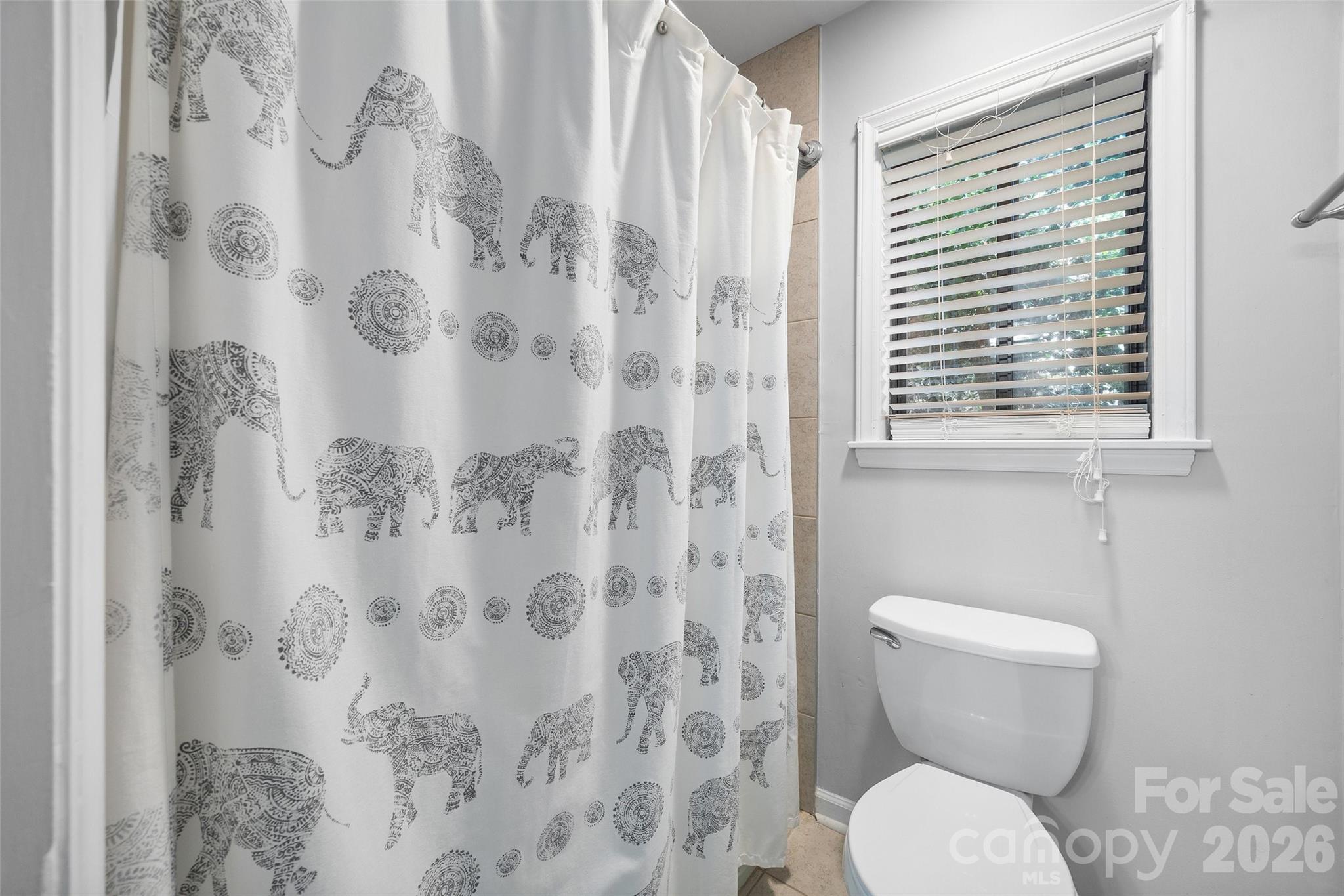 3015 Point Clear Drive Fort Mill, SC 29708 - Photo 27 of 48