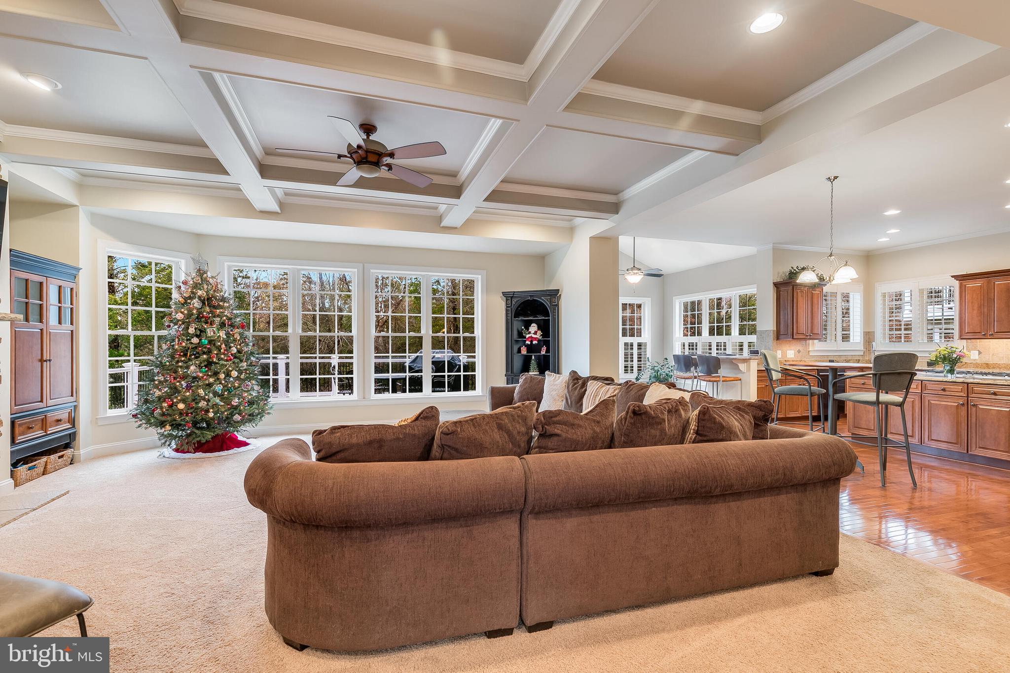 42432 Corro Place Ashburn, VA 20148 - Photo 12 of 55 Great Room with Cozy Fireplace & Coffered Ceiling