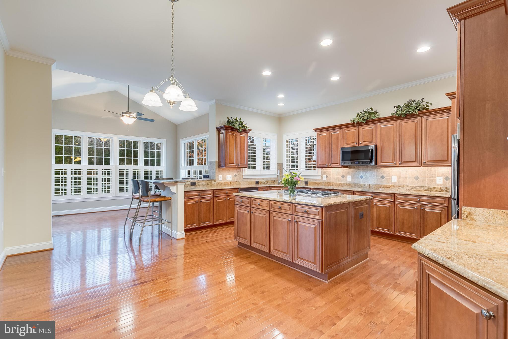 42432 Corro Place Ashburn, VA 20148 - Photo 15 of 55 Bright and Open Entertaining and Chef's Kitchen