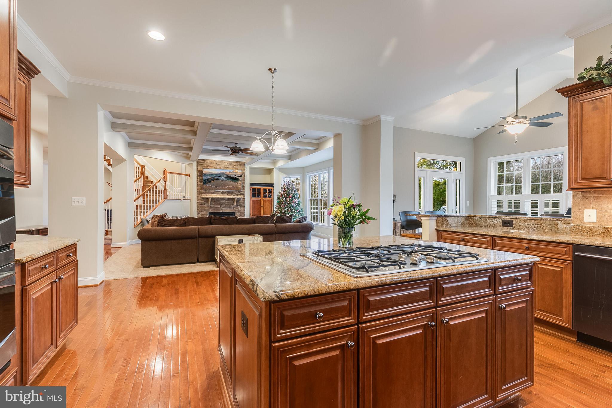 42432 Corro Place Ashburn, VA 20148 - Photo 18 of 55 Bright and Open Entertaining and Chef's Kitchen