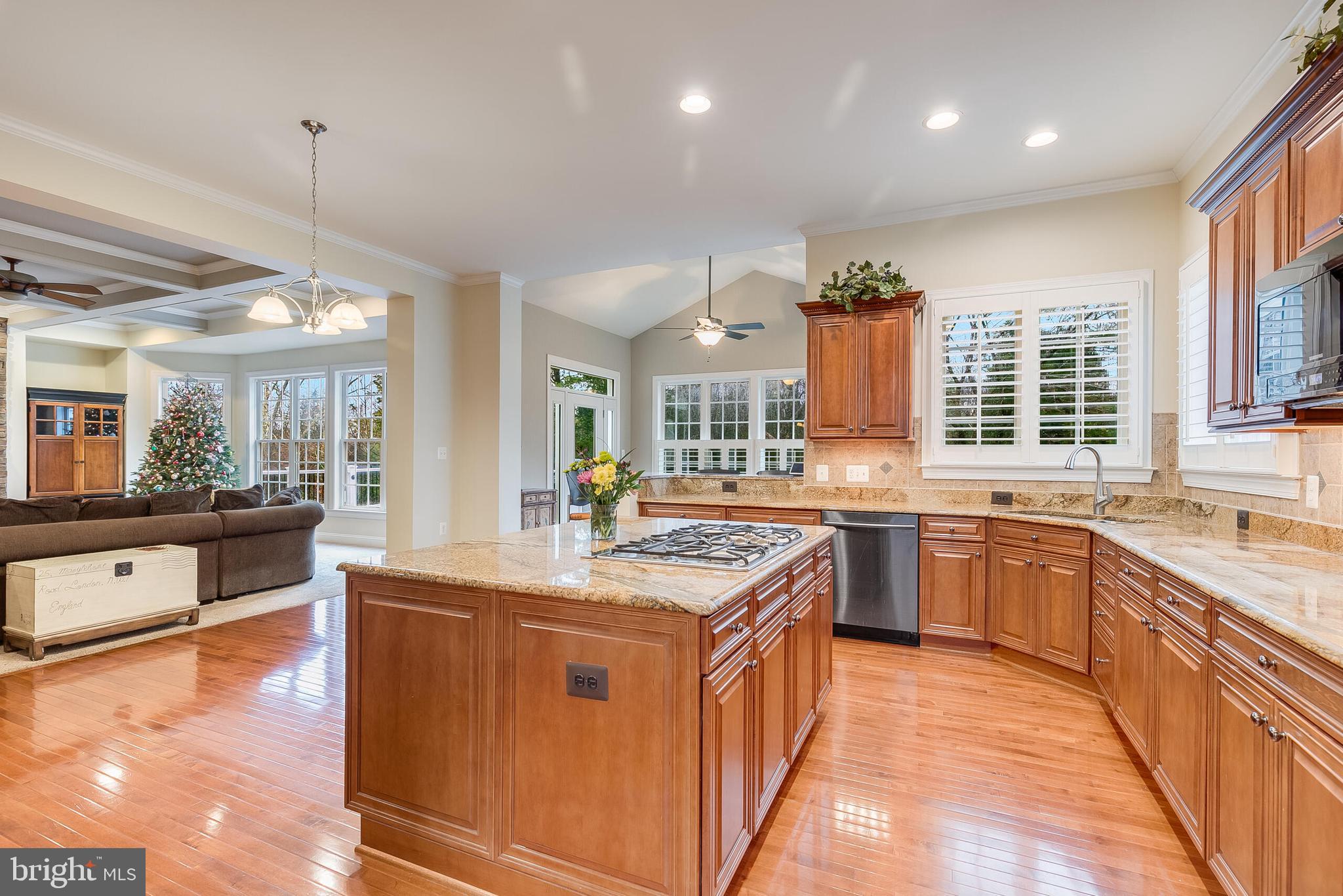 42432 Corro Place Ashburn, VA 20148 - Photo 20 of 55 Bright and Open Entertaining and Chef's Kitchen