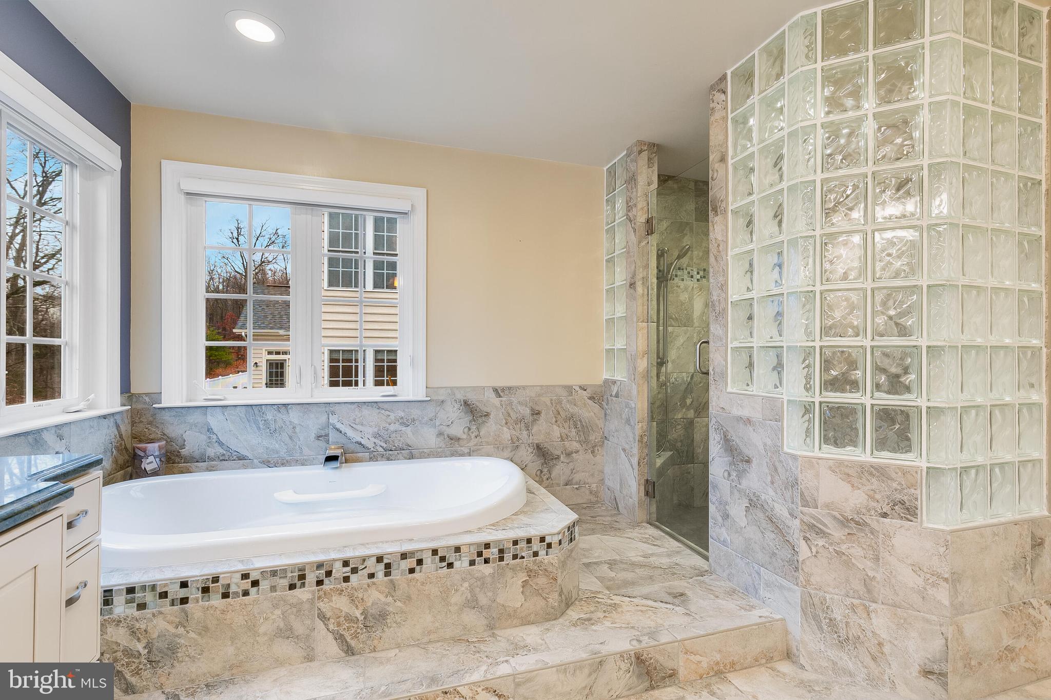 42432 Corro Place Ashburn, VA 20148 - Photo 30 of 55 Lavish Primary Bathroom