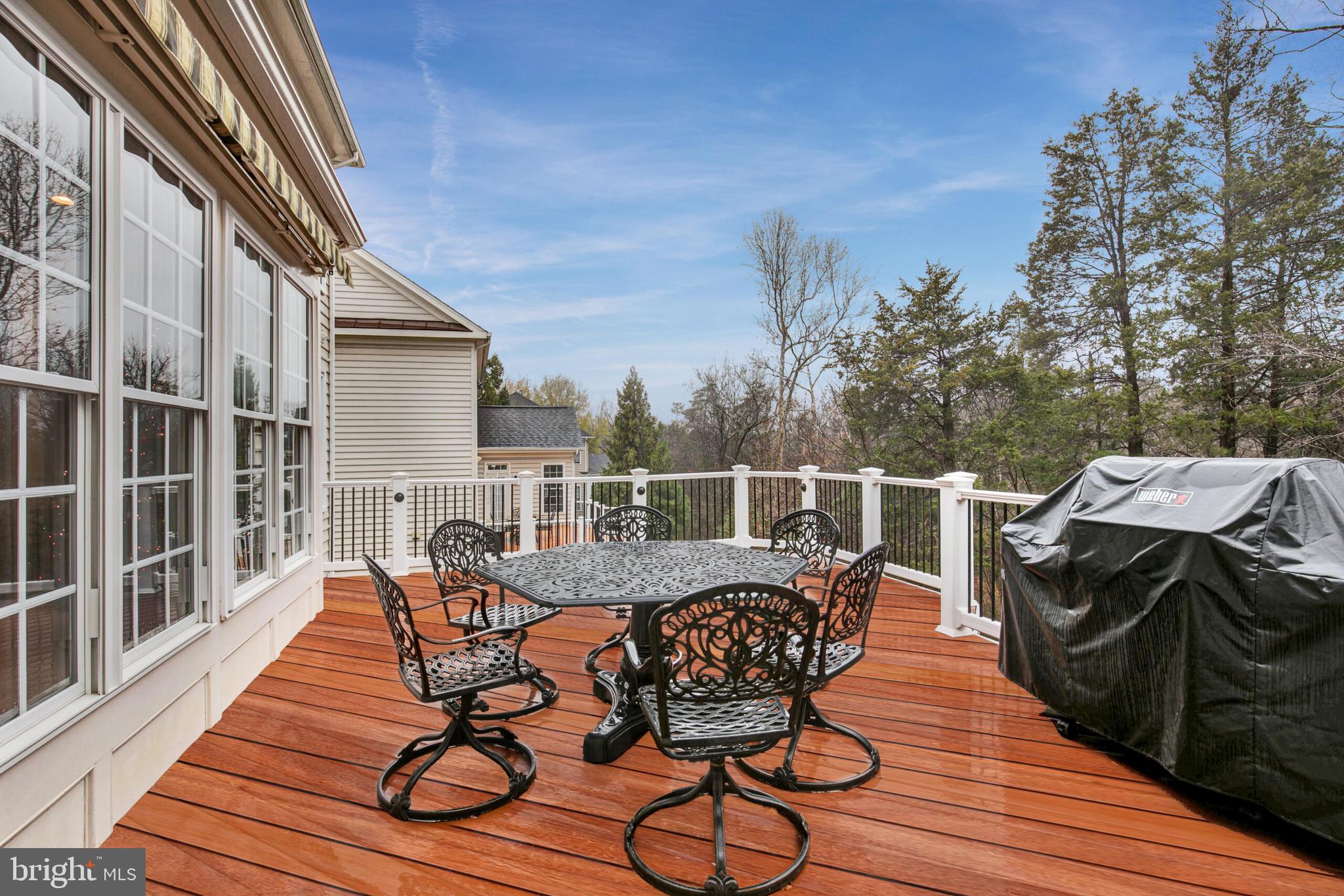 42432 Corro Place Ashburn, VA 20148 - Photo 3 of 55 Beautiful Deck Overlooking Mature Trees