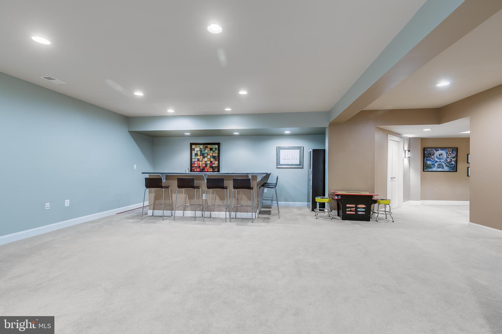 42432 Corro Place Ashburn, VA 20148 - Photo 44 of 55 Rec and Game Rooms on Walkout Lower Level